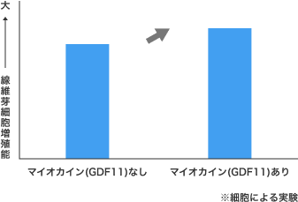 マイオカイン(GDF11)なしとありの線維芽細胞増殖能の差